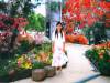 fiori