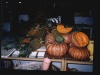 frutta0001
