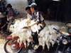 galline