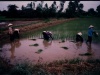 pict0064